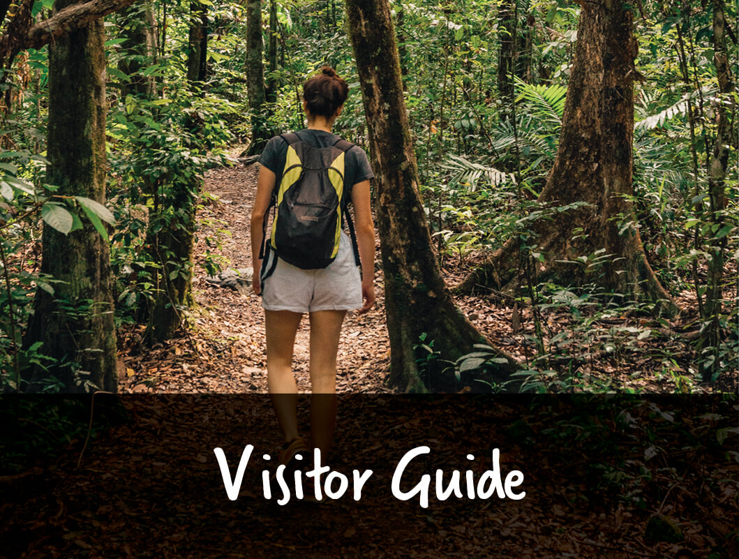 A woman wearing a backpack and casual hiking clothes facing away from the camera and standing in a rainforest. The text overlay that reads Visitor Guide